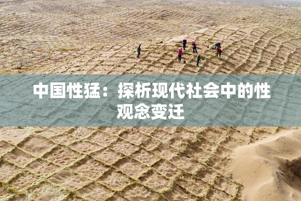 中国性猛：探析现代社会中的性观念变迁