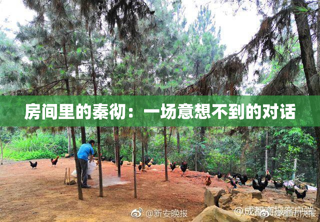 房间里的秦彻：一场意想不到的对话