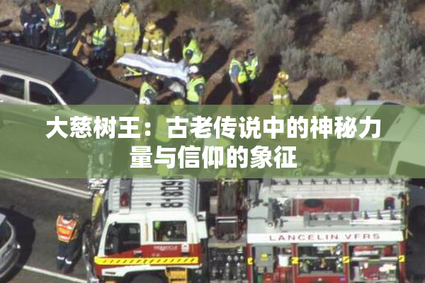 大慈树王：古老传说中的神秘力量与信仰的象征