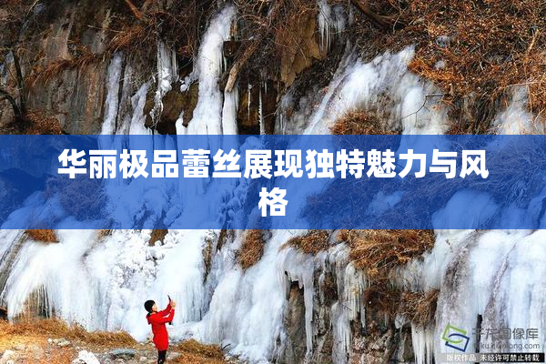 华丽极品蕾丝展现独特魅力与风格