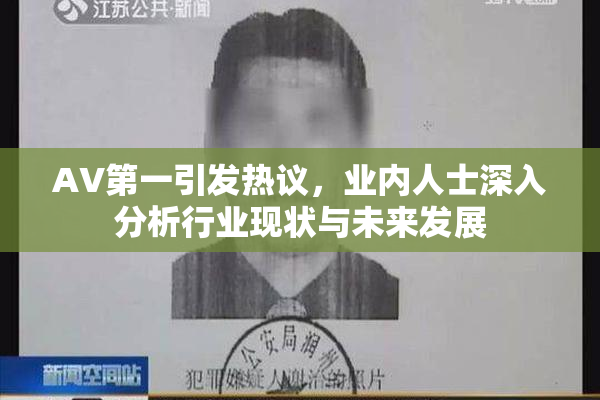 AV第一引发热议，业内人士深入分析行业现状与未来发展