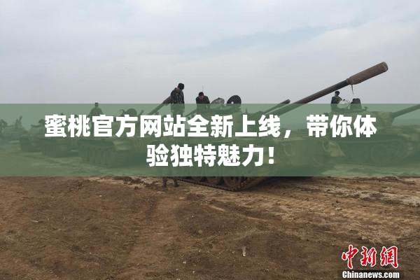 蜜桃官方网站全新上线，带你体验独特魅力！
