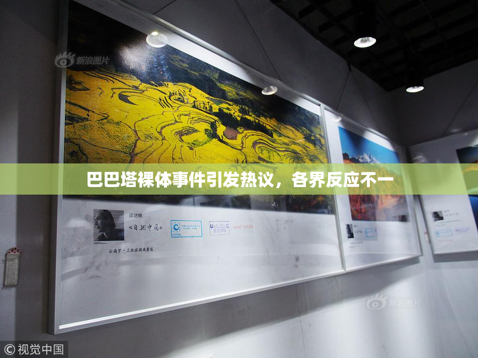 巴巴塔裸体事件引发热议，各界反应不一