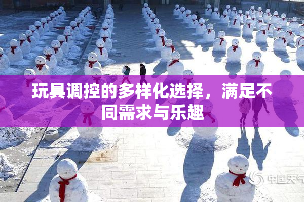 玩具调控的多样化选择，满足不同需求与乐趣