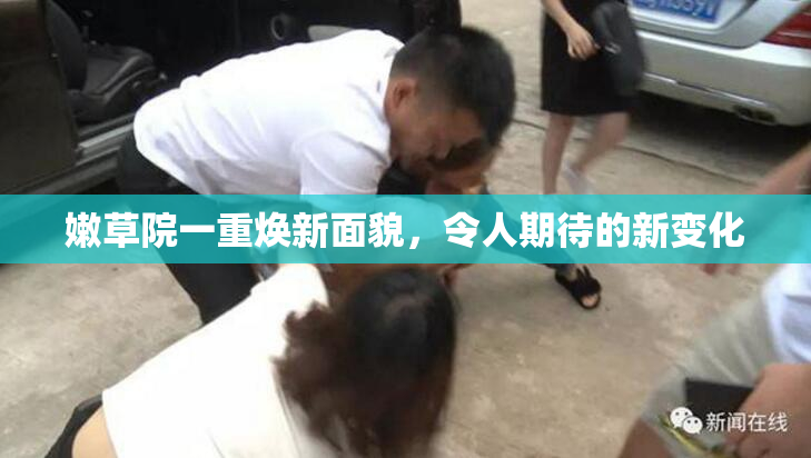 嫩草院一重焕新面貌，令人期待的新变化