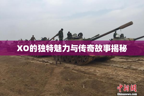 XO的独特魅力与传奇故事揭秘
