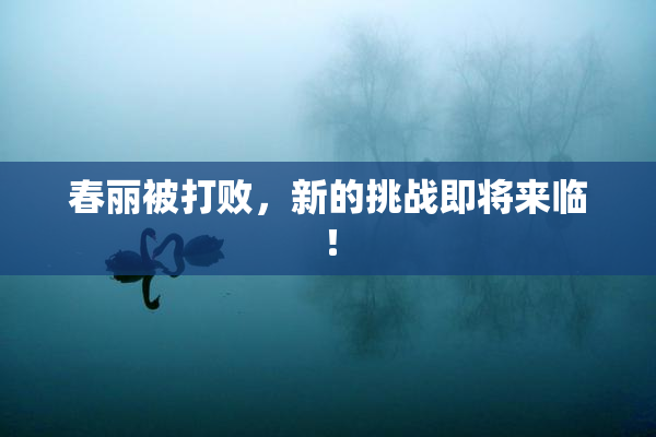 春丽被打败，新的挑战即将来临！