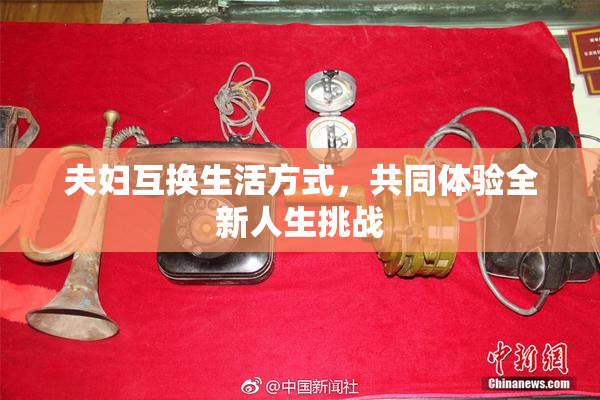 夫妇互换生活方式，共同体验全新人生挑战
