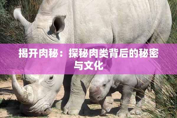 揭开肉秘：探秘肉类背后的秘密与文化