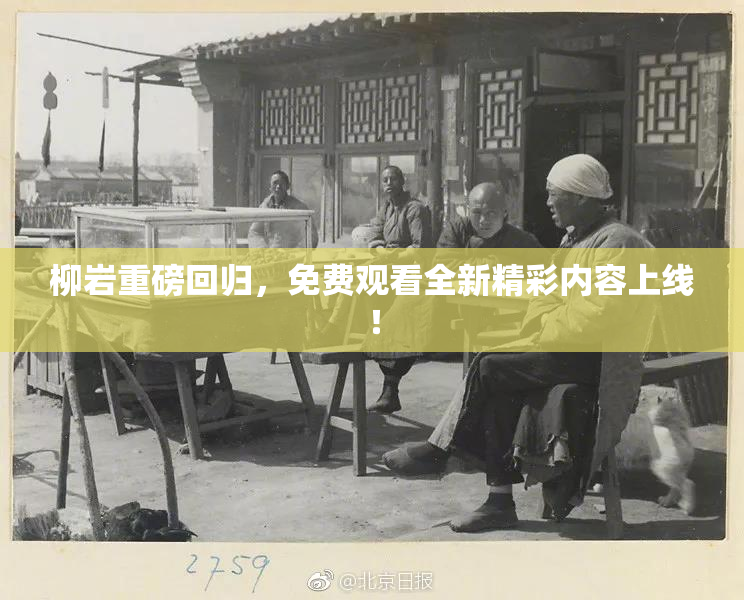 柳岩重磅回归，免费观看全新精彩内容上线！