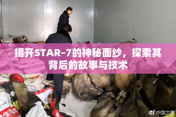 揭开STAR–7的神秘面纱，探索其背后的故事与技术