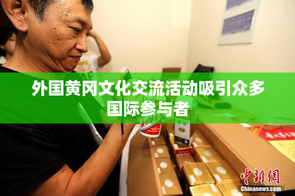 外国黄冈文化交流活动吸引众多国际参与者