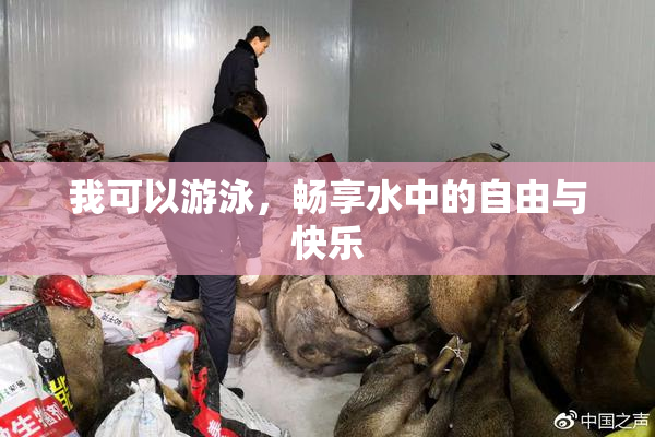 我可以游泳，畅享水中的自由与快乐