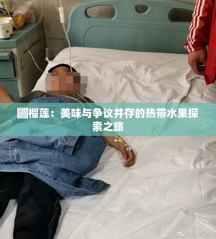 ▓榴莲：美味与争议并存的热带水果探索之旅
