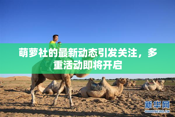 萌萝社的最新动态引发关注，多重活动即将开启