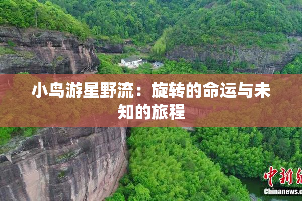 小鸟游星野流：旋转的命运与未知的旅程