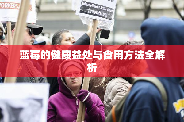 蓝莓的健康益处与食用方法全解析