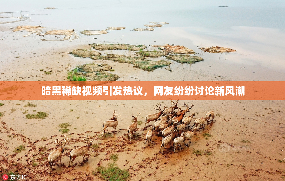 暗黑稀缺视频引发热议，网友纷纷讨论新风潮