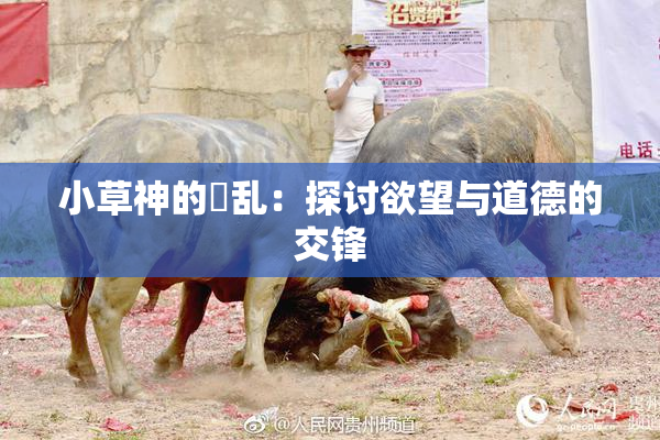 小草神的婬乱：探讨欲望与道德的交锋