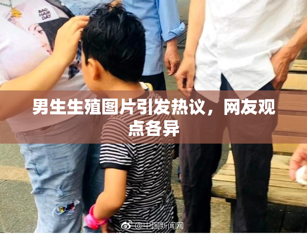 男生生殖图片引发热议，网友观点各异