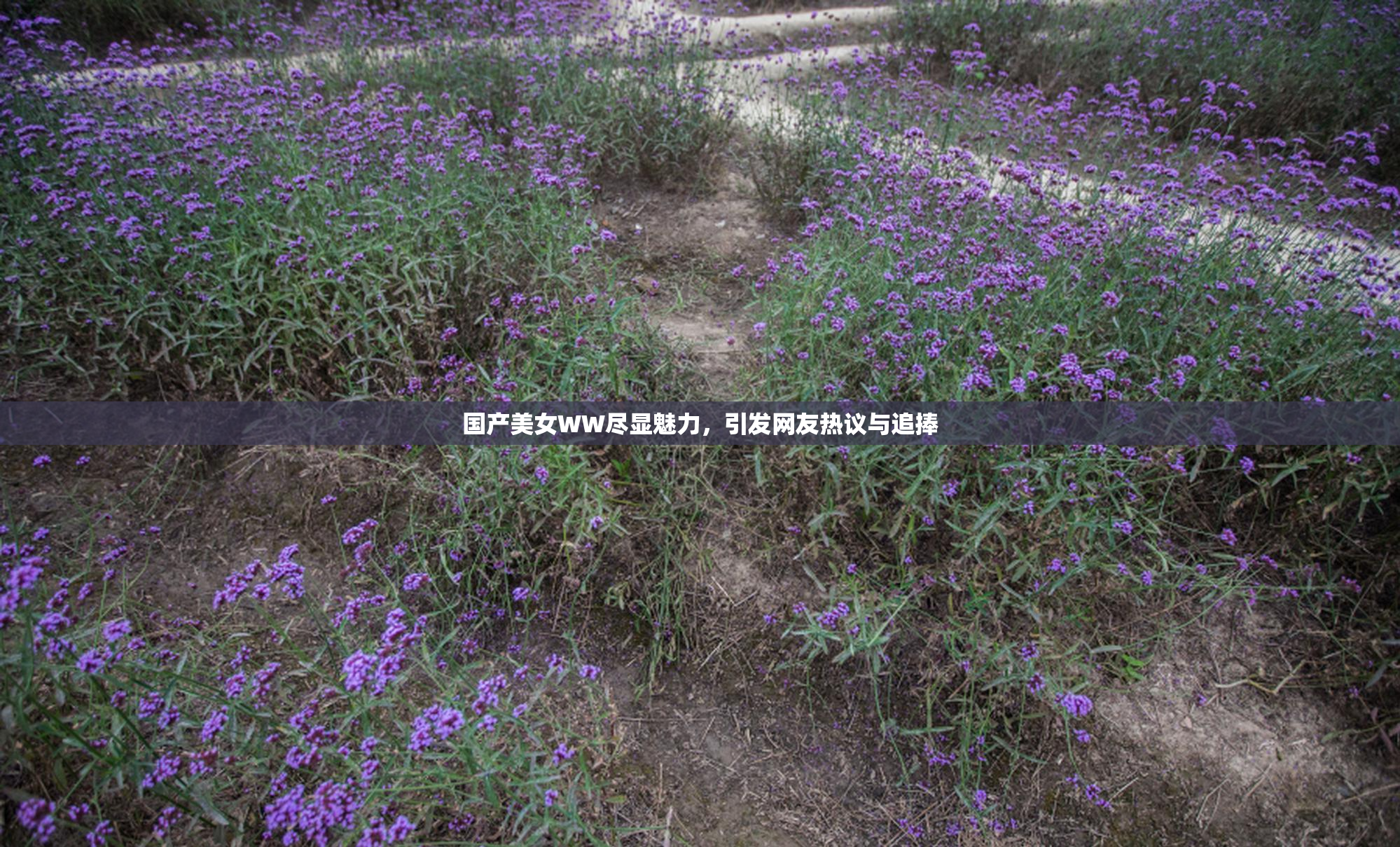 国产美女WW尽显魅力，引发网友热议与追捧