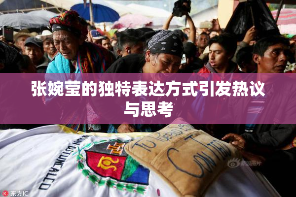 张婉莹的独特表达方式引发热议与思考