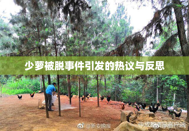 少萝被脱事件引发的热议与反思