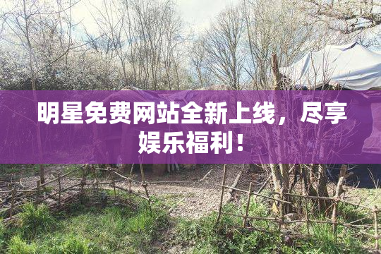 明星免费网站全新上线，尽享娱乐福利！