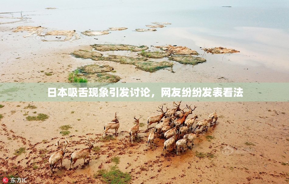 日本吸舌现象引发讨论，网友纷纷发表看法