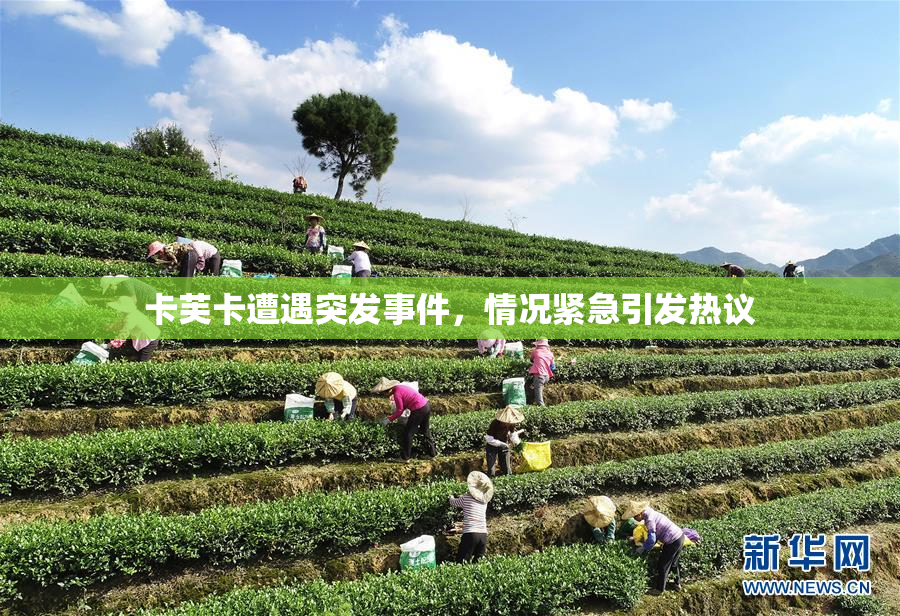 卡芙卡遭遇突发事件，情况紧急引发热议