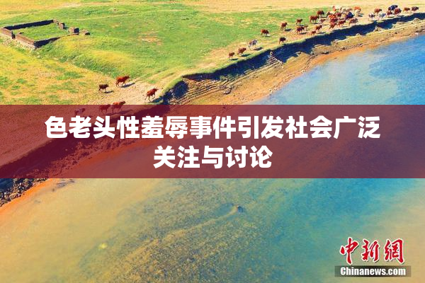 色老头性羞辱事件引发社会广泛关注与讨论