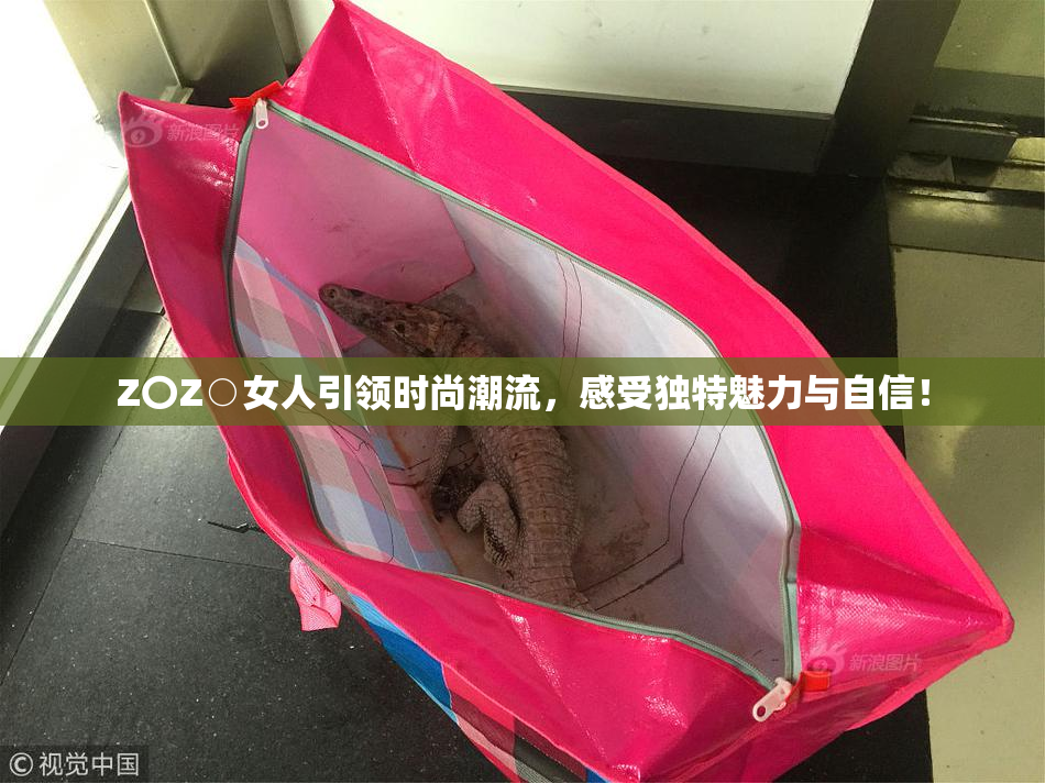 Z〇Z○女人引领时尚潮流，感受独特魅力与自信！