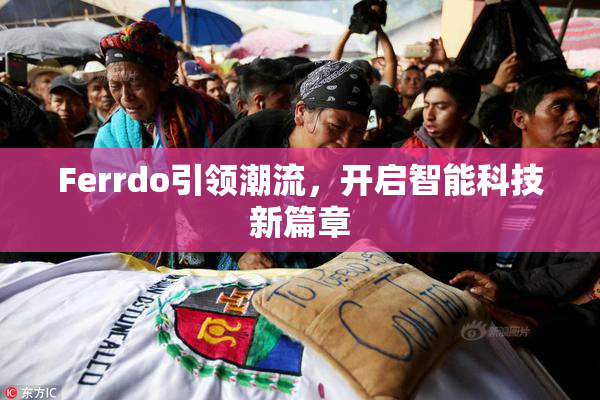Ferrdo引领潮流，开启智能科技新篇章