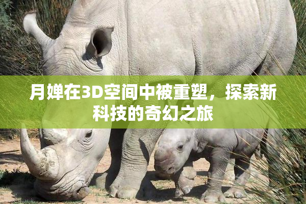 月婵在3D空间中被重塑，探索新科技的奇幻之旅