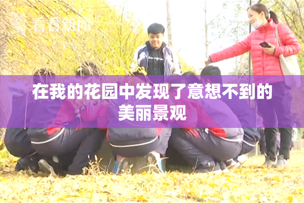 在我的花园中发现了意想不到的美丽景观