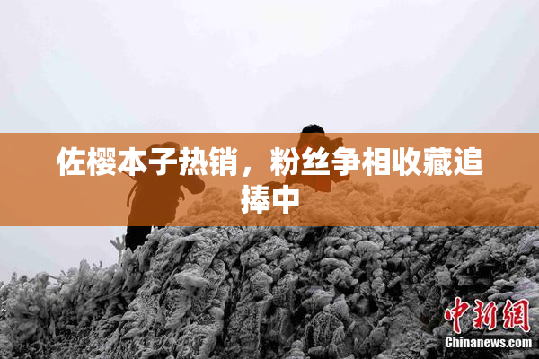 佐樱本子热销，粉丝争相收藏追捧中