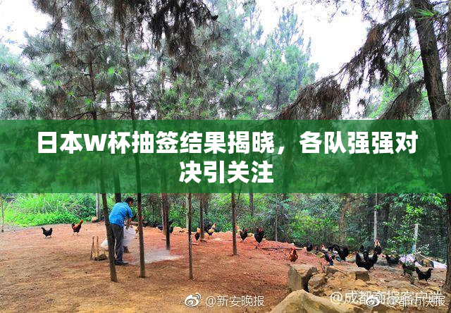 日本W杯抽签结果揭晓，各队强强对决引关注