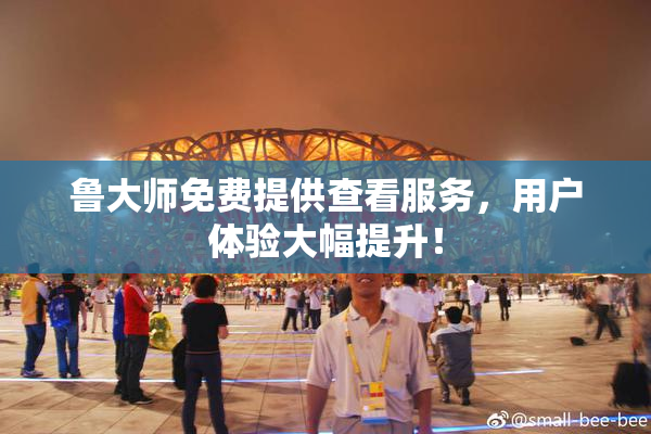 鲁大师免费提供查看服务，用户体验大幅提升！