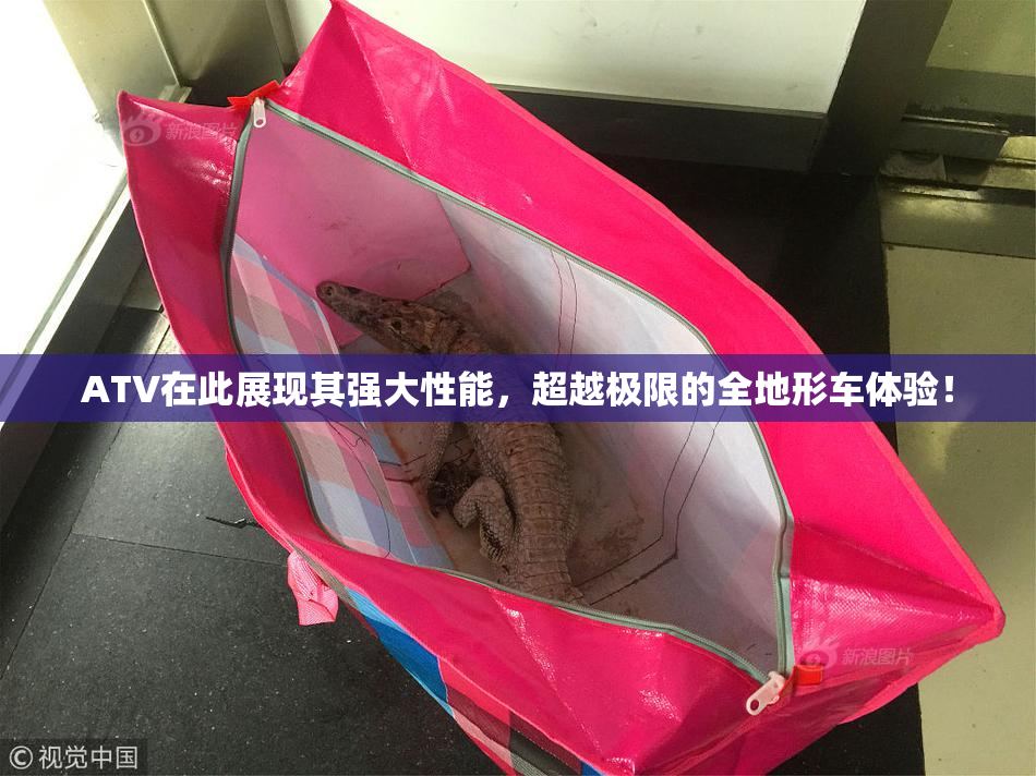 ATV在此展现其强大性能，超越极限的全地形车体验！