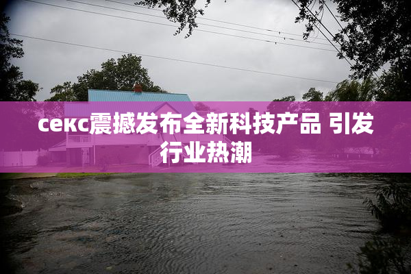 ceкс震撼发布全新科技产品 引发行业热潮