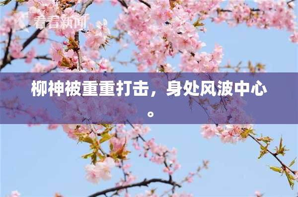 柳神被重重打击，身处风波中心。