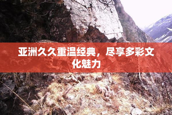 亚洲久久重温经典，尽享多彩文化魅力