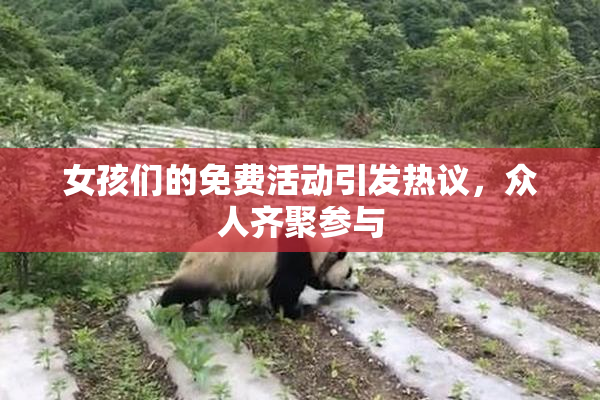 女孩们的免费活动引发热议，众人齐聚参与
