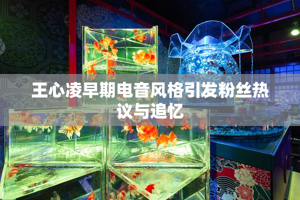 王心凌早期电音风格引发粉丝热议与追忆