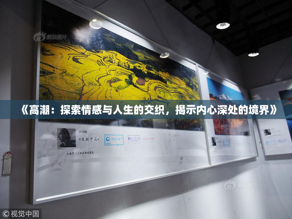 《高潮：探索情感与人生的交织，揭示内心深处的境界》