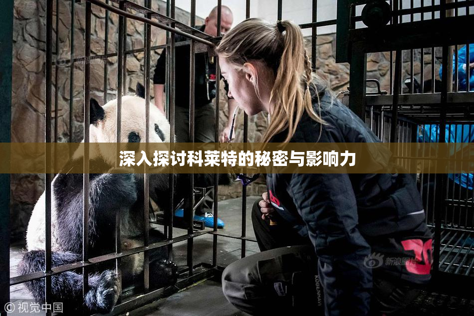 深入探讨科莱特的秘密与影响力