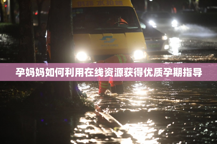 孕妈妈如何利用在线资源获得优质孕期指导