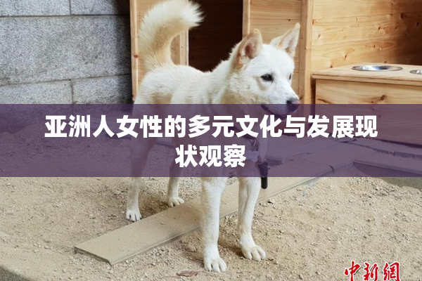 亚洲人女性的多元文化与发展现状观察