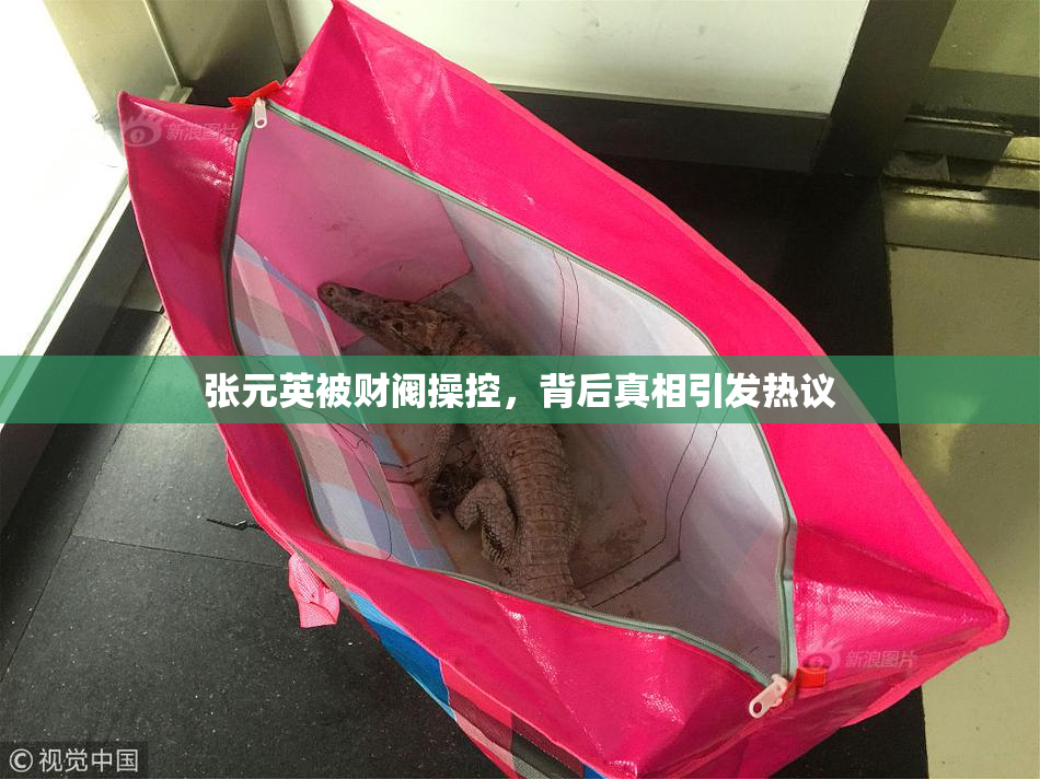 张元英被财阀操控，背后真相引发热议