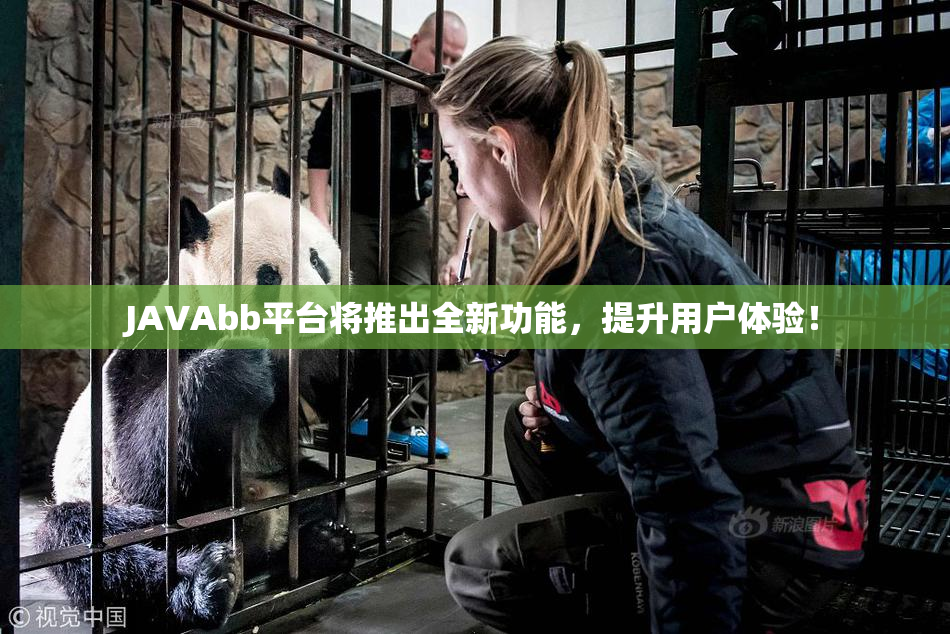 JAVAbb平台将推出全新功能，提升用户体验！